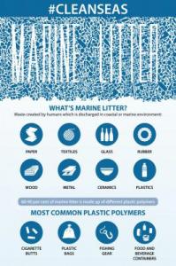 Infographic Marine Litter 1